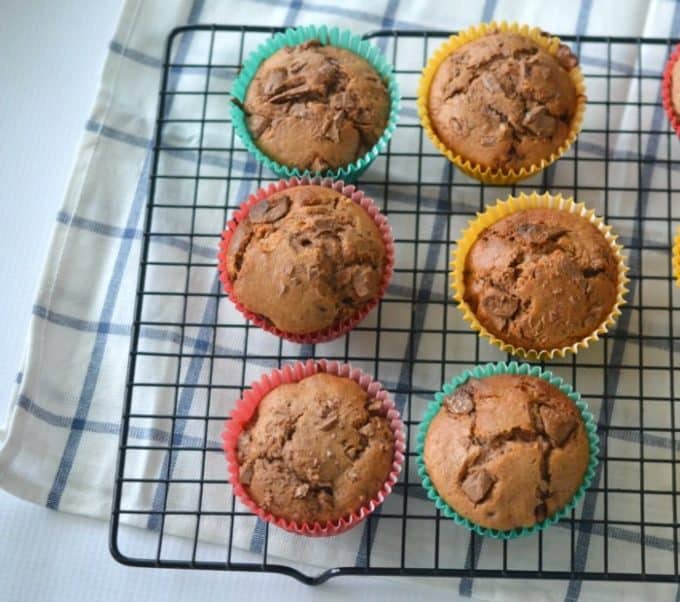 Chocolate Chip and Milo Muffins