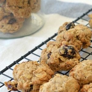 Cranberry Almond and White Chocolate Lactation Cookies