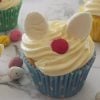 How to make Easter Bunny Cupcakes. These cupcakes make a great kids Easter activity and both regular and Thermomix instructions are included.