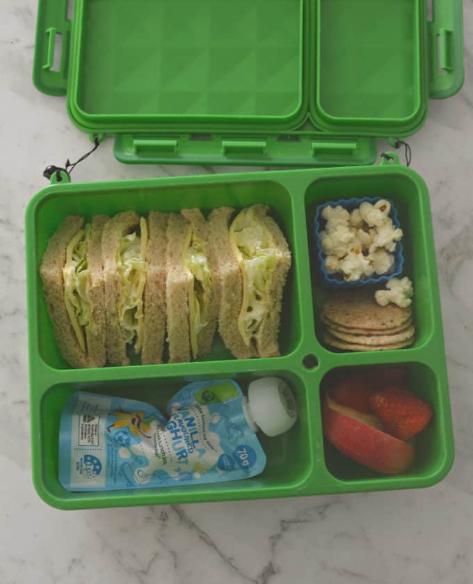 Go Green Lunch Box Review