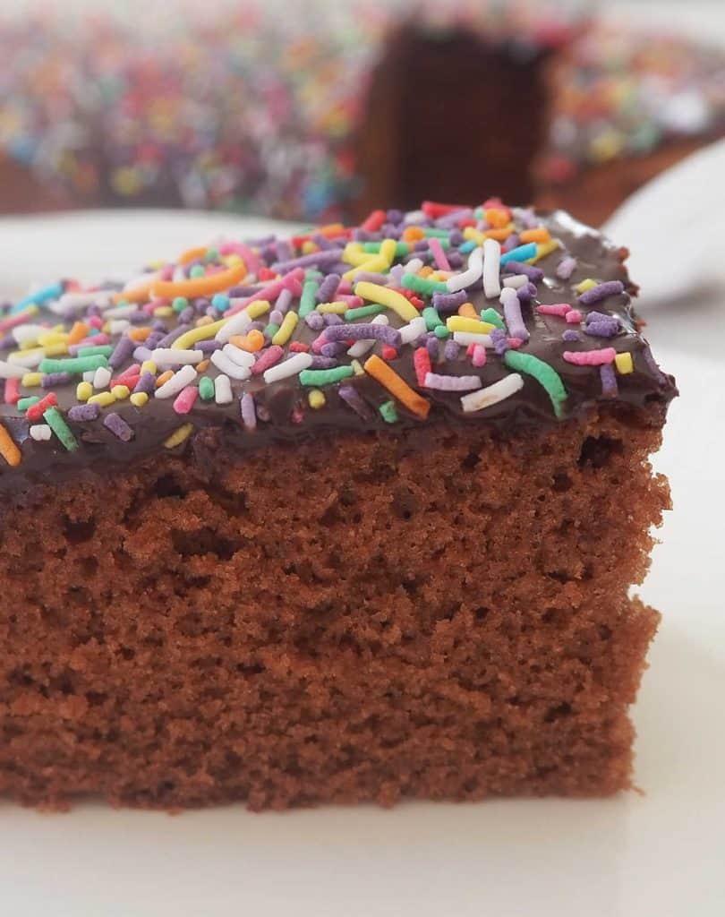 Side view of a slice of chocolate cake with chocolate icing and sprinkles