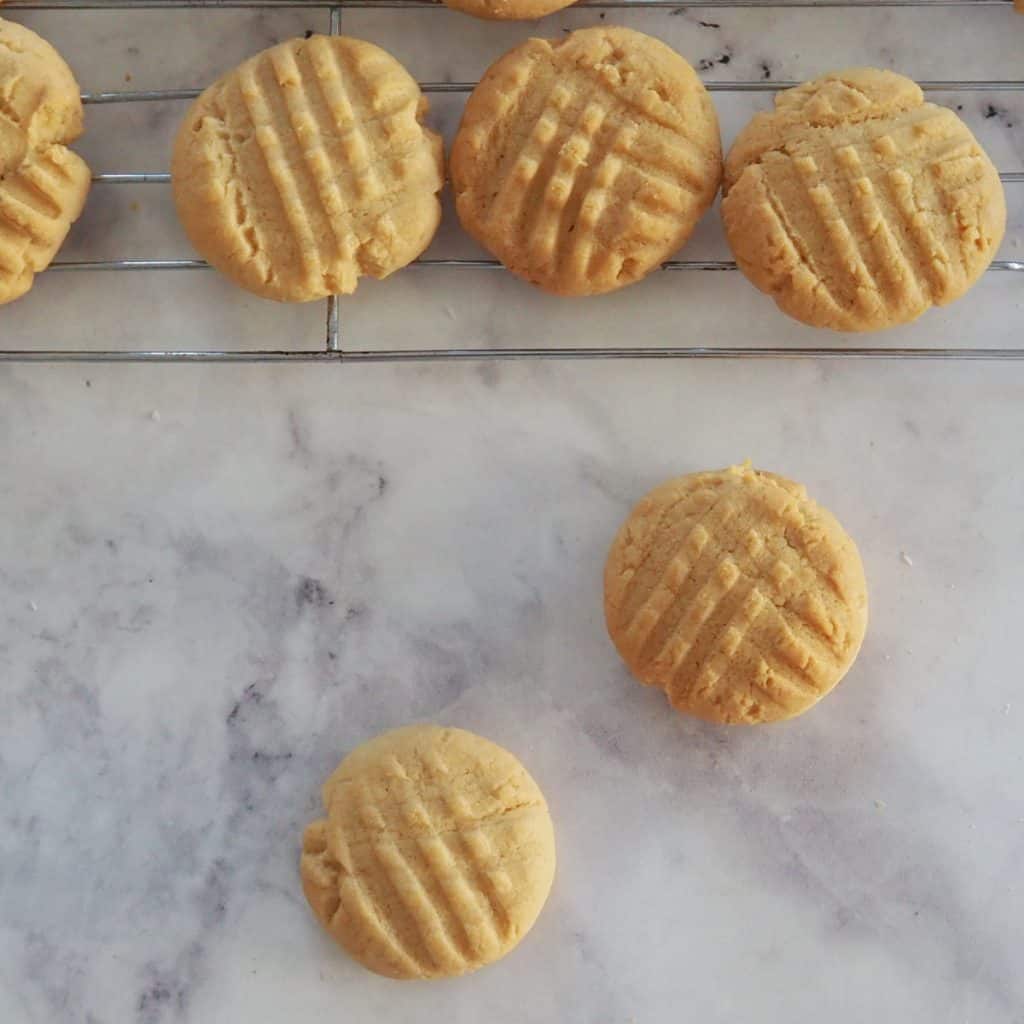 Peanut Butter Biscuits Create Bake Make