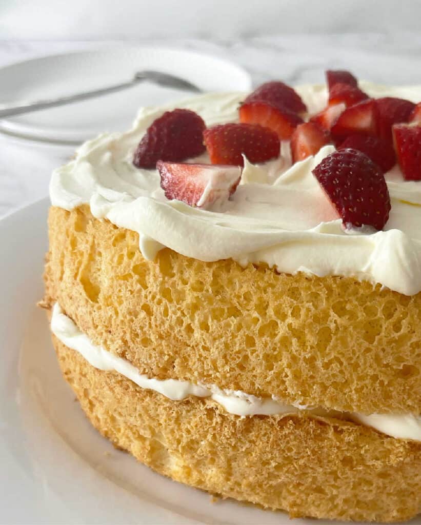 Sponge Cake with Jam and Cream on a white plate.