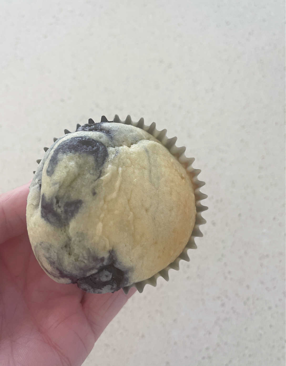 Adult holding a blueberry muffin.
