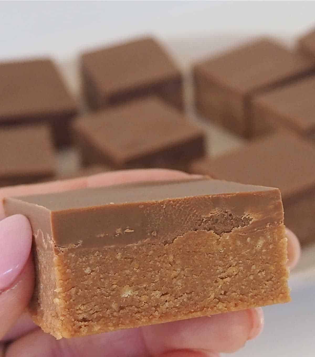 Adult holding a piece of Caramello slice.