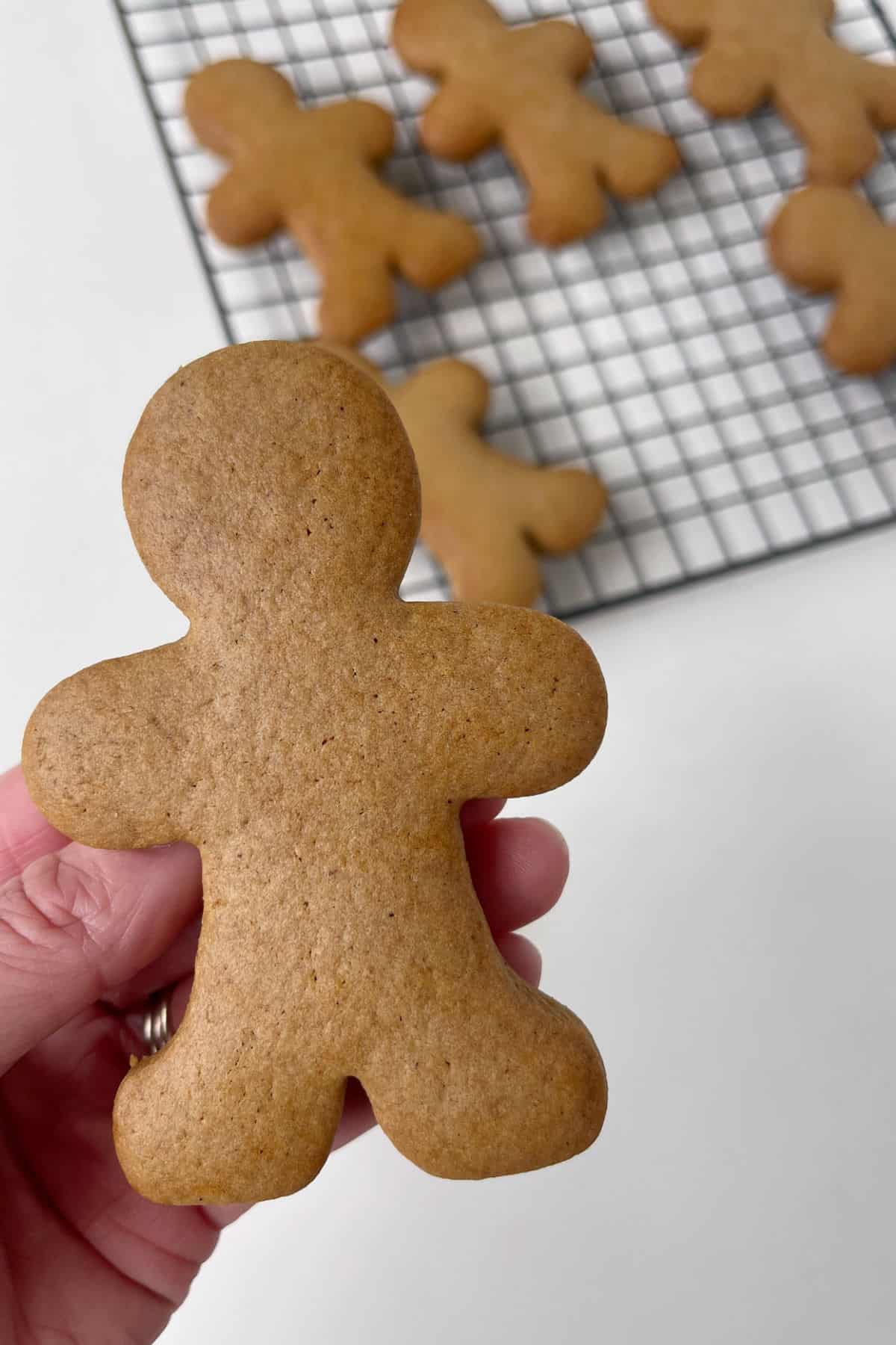 Adult holding a baked gingerbread person.
