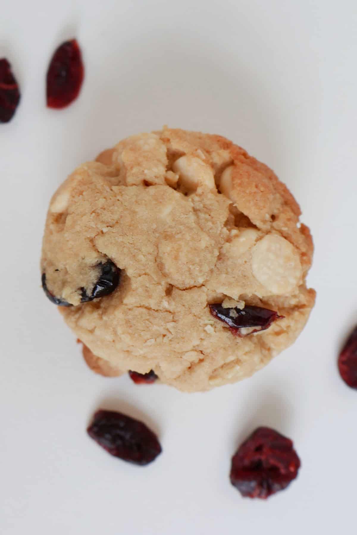 overhead view of White Chocolate and Cranberry Biscuit with cranberries around it.