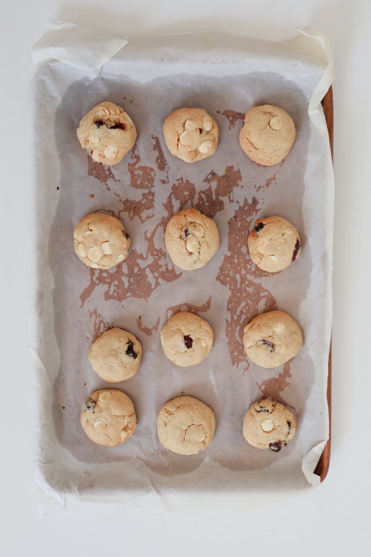 White Chocolate and Cranberry Biscuit straight from oven.